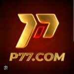 P 77 Com apk