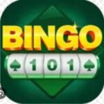 Bingo 101